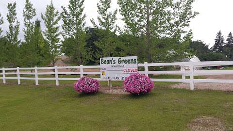 Bean's Greens Greenhouse